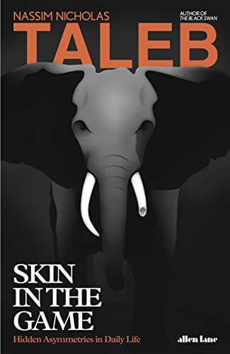 Cover of Skin in the Game: Hidden Asymmetries in Daily Life