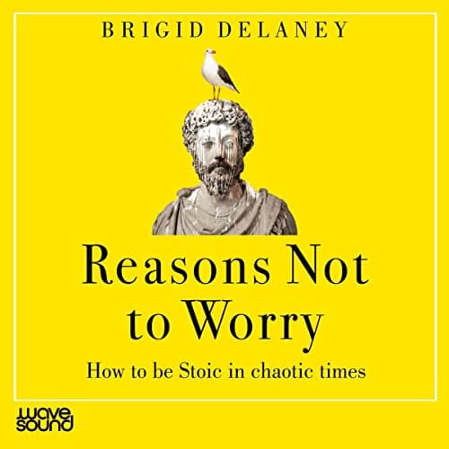 Cover of Reasons Not to Worry: How to Be Stoic in Chaotic Times