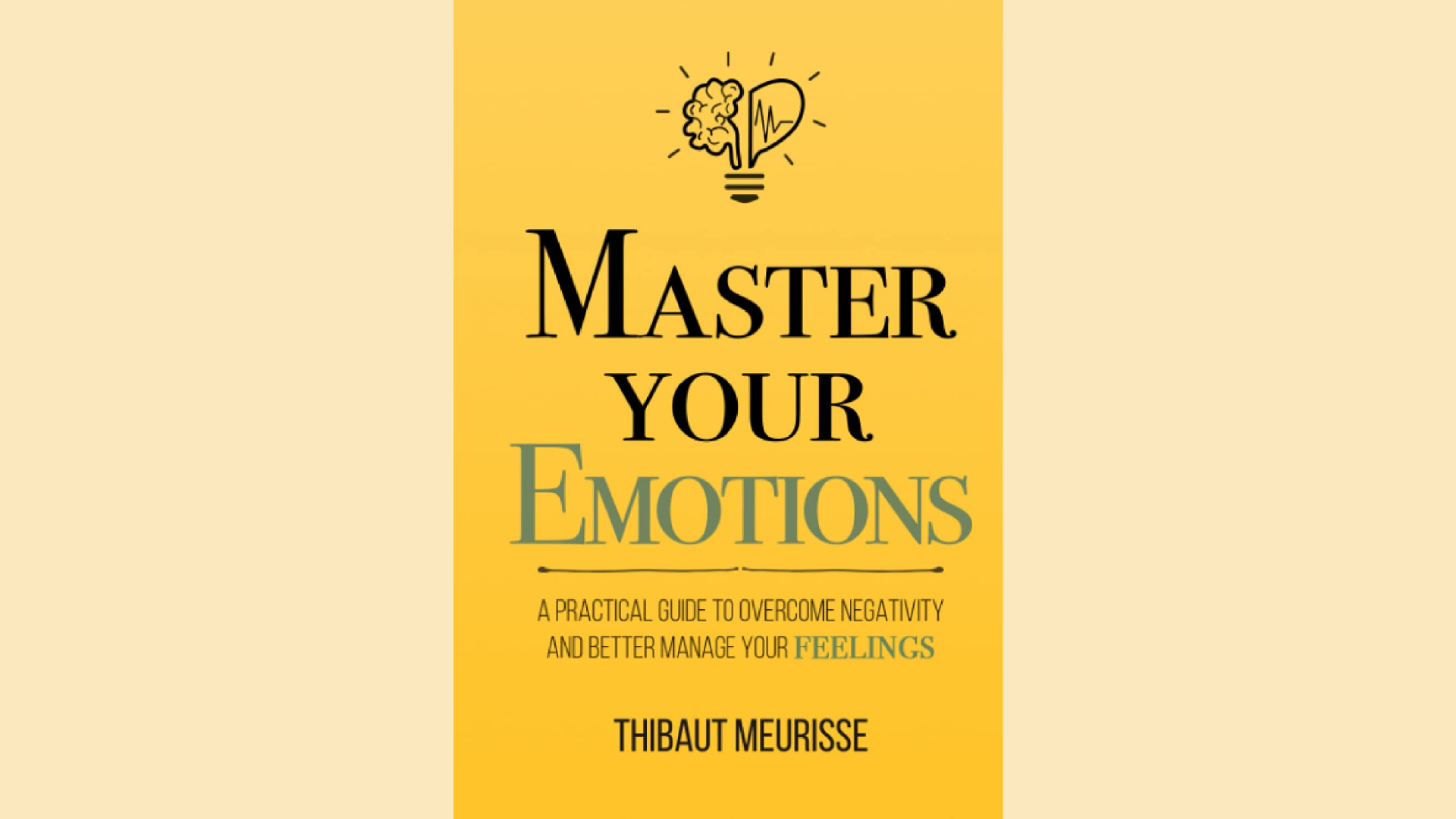 Summary:  Master Your Emotions by Thibaut Meurisse