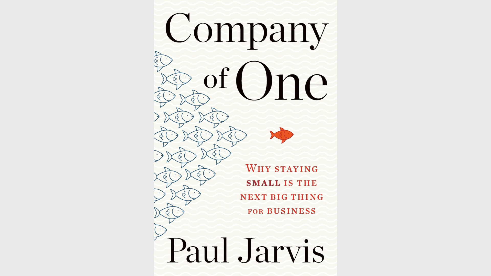 The Company of One Approach to Entrepreneurship